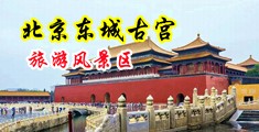 白虎抠逼喷水视频中国北京-东城古宫旅游风景区